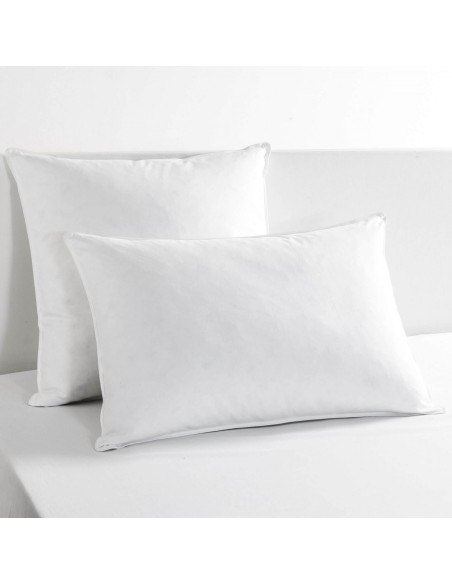 OREILLER BIOTEX 30% DUVET 70% PLUMETTE ISLAND