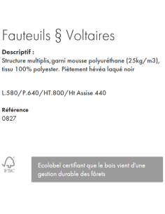 FAUTEUIL WASHINGTON TURQUOISE 2