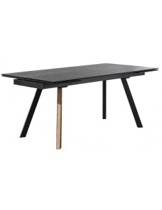 TABLE DE SALLE A MANGER...