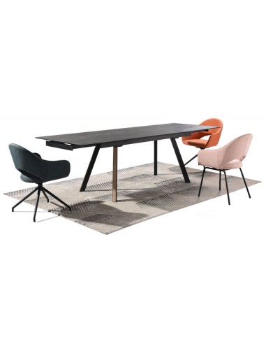 TABLE DE SALLE A MANGER SACRAMENTO...