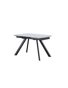 TABLE DE SALLE A MANGER...