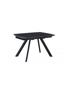 TABLE DE SALLE A MANGER...