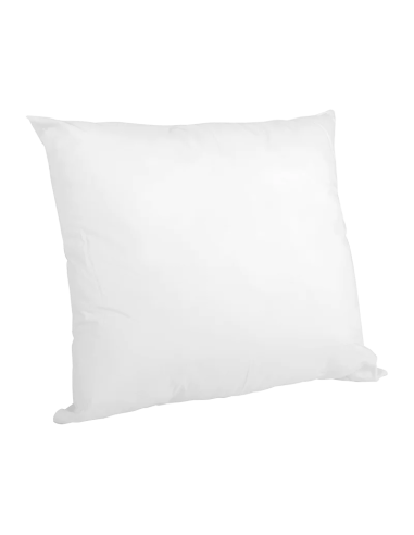 OREILLER BIOTEX DOUDOU