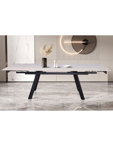 TABLE DE SALLE A MANGER HERA PIERRE...