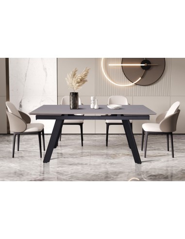 TABLE DE SALLE A MANGER HERA PIERRE GRIS