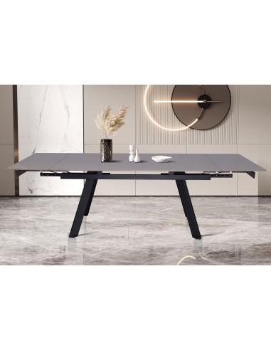 TABLE DE SALLE A MANGER HERA PIERRE GRIS