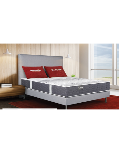 MATELAS MOUSSE DUNLOPILLO SPOT 22