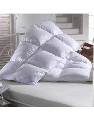 COUETTE BIOTEX 200G 70% DUVET 30% PLUMETTES ICEBERG