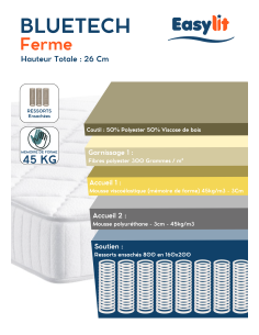 MATELAS RESSORT BlueTech... 2