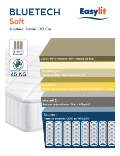 MATELAS RESSORT BlueTech... 2