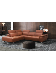 CANAPE ALTONI PREDATOR