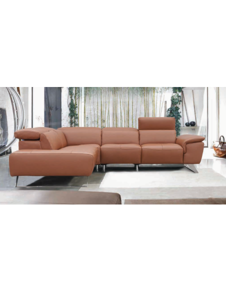 CANAPE ALTONI PREDATOR