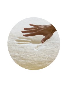 OREILLER BIOTEX MEMOTRADI... 2